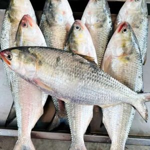 ১০ পিস মাছে ৫ কেজি ১৫০০ টাকা